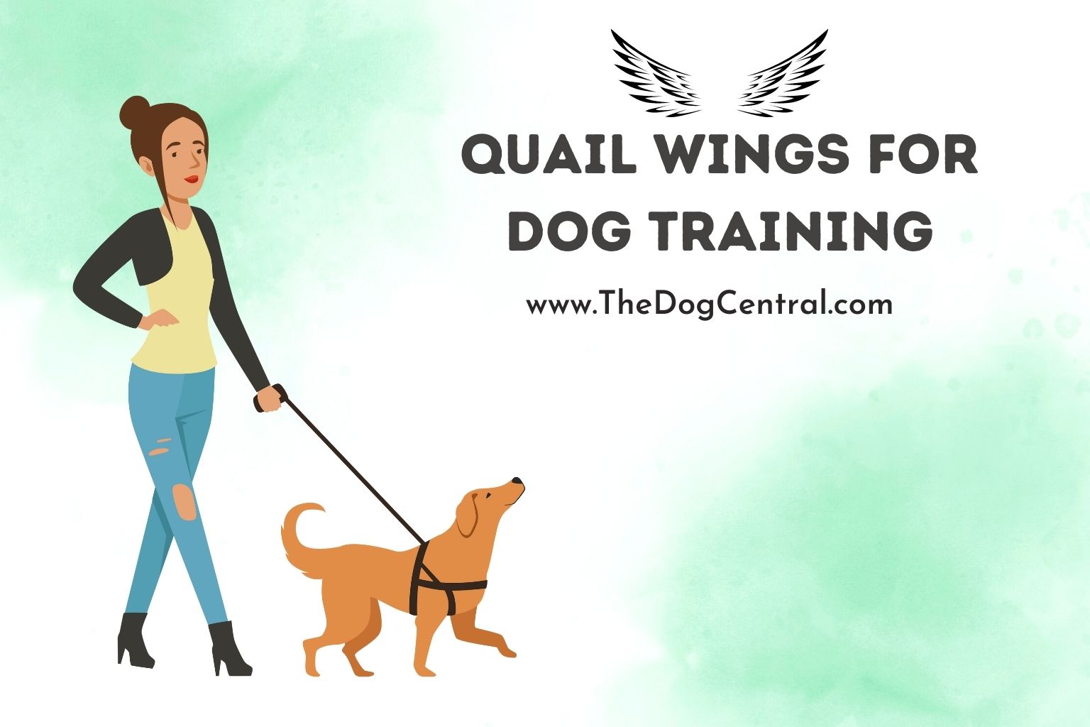 quail wings for dog training