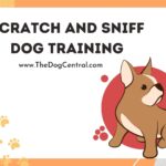 Scratch and Sniff Dog Training
