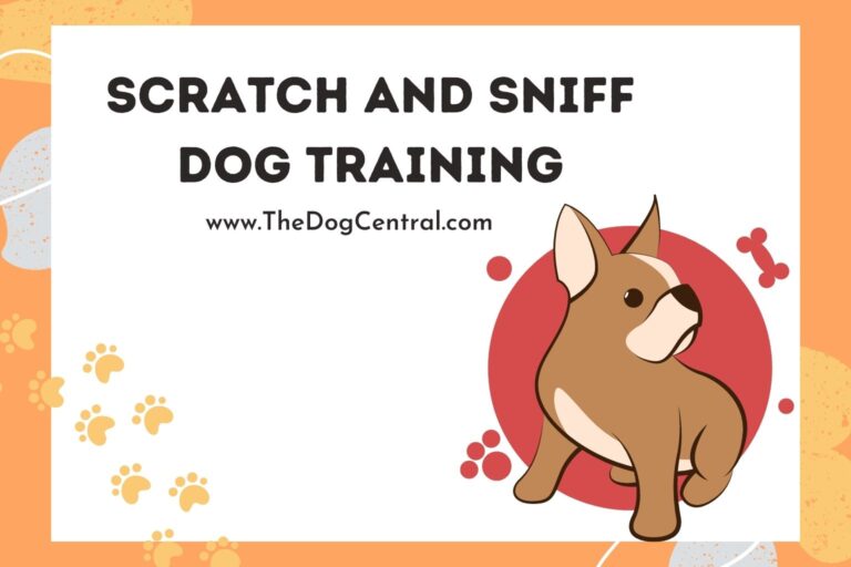 scratch and sniff dog training