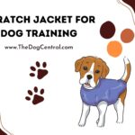A Scratch Jacket For Dog Training