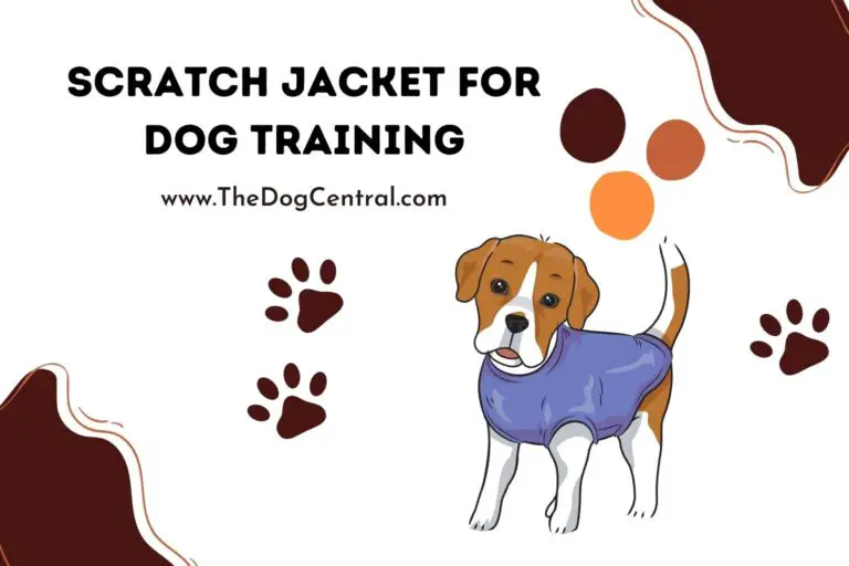 scratch jacket for dog training