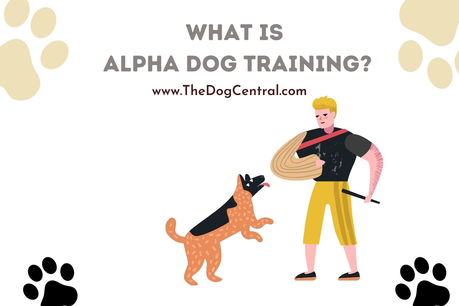 what is alpha dog training