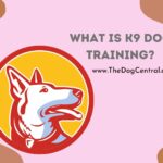 What is K9 Dog Training?