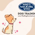 Who’s Walking Who Dog Training and Behavior