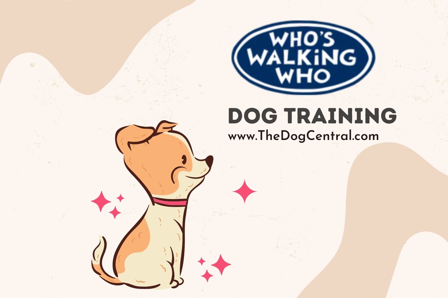 who's walking who dog training