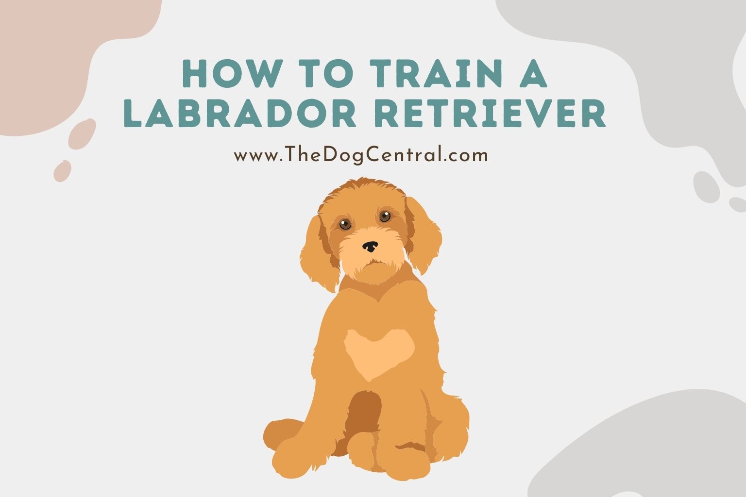 how to train a labrador retriever