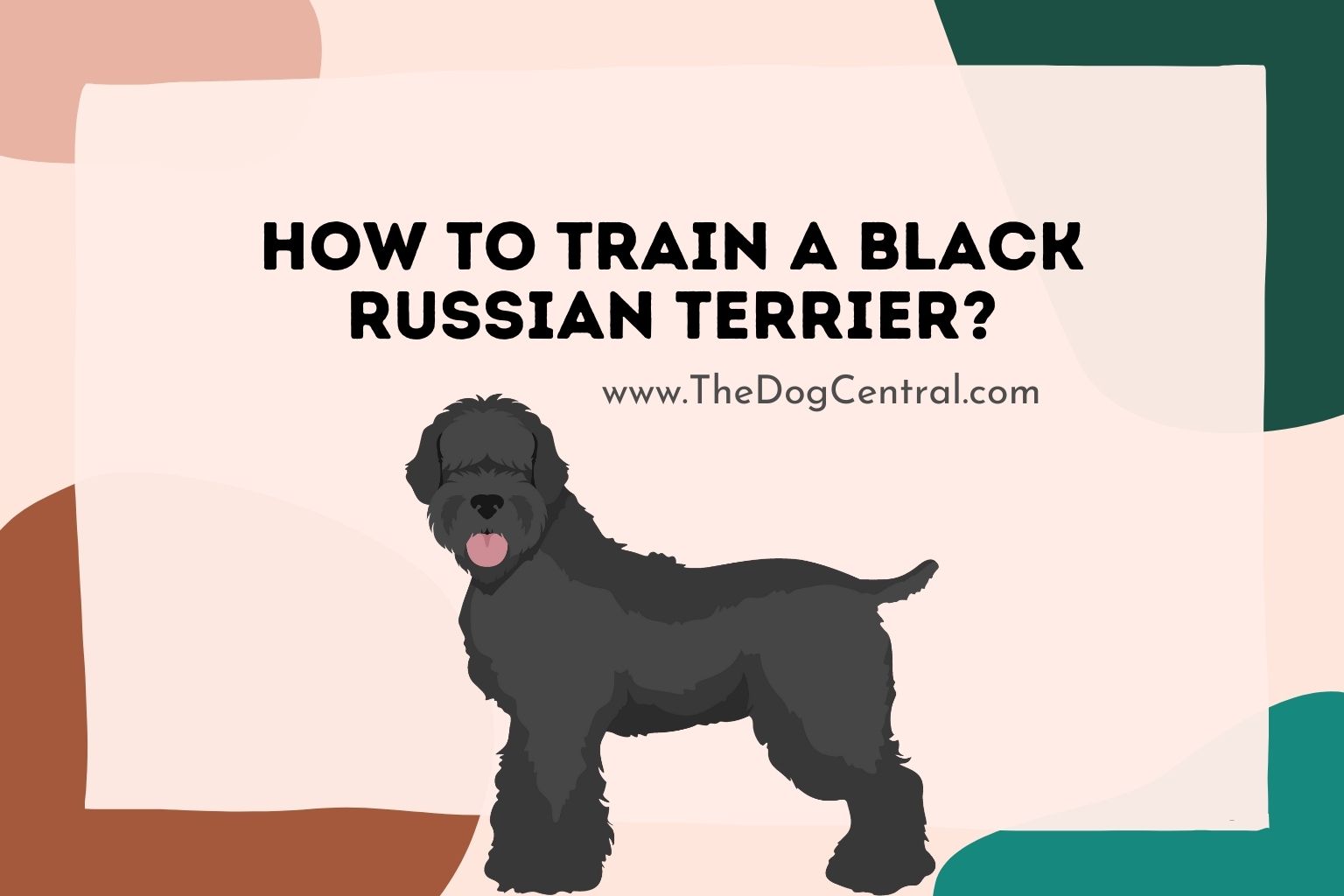 How to train a Black Russian Terrier