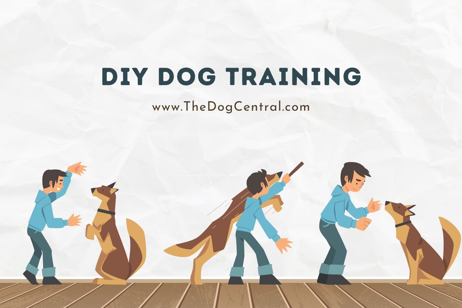 diy dog training