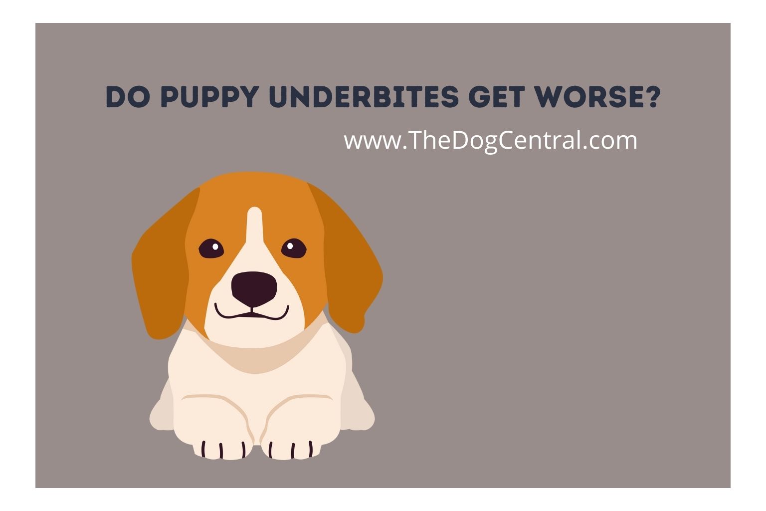 do puppy underbites get worse