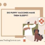 Do Puppy Vaccines Make Them Sleepy?