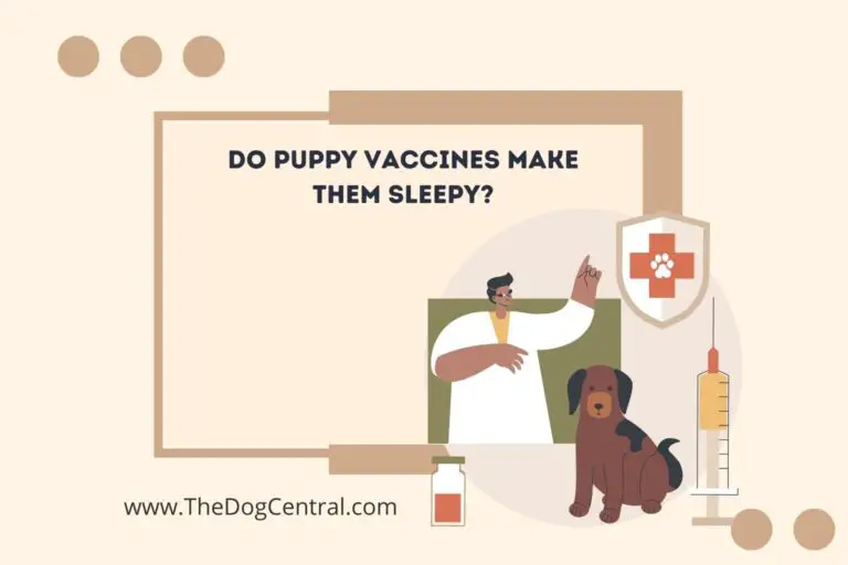 do puppy vaccines make them sleepy