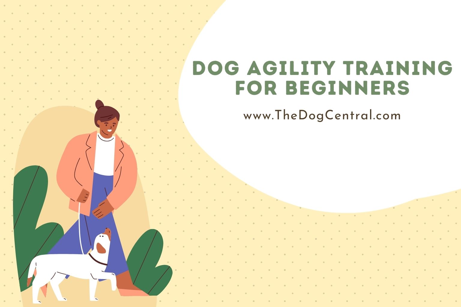 dog agility training for beginners