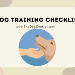 How a Dog Training Checklist Can Help You Raise a Well-Behaved Puppy