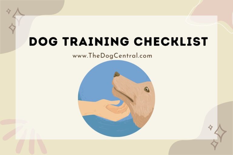 dog training checklist