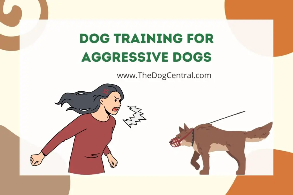 on-leash-reactivity-aggression-in-relation-with-dogs