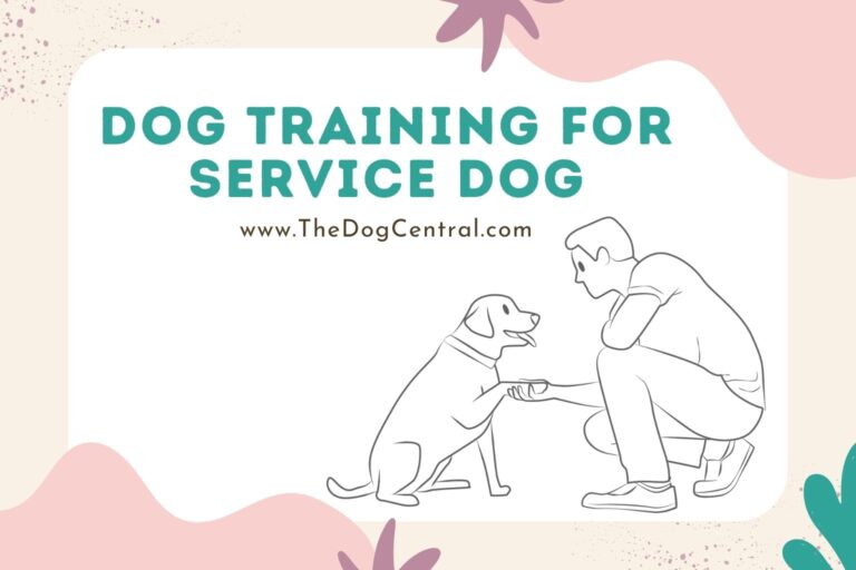 dog training for service dog