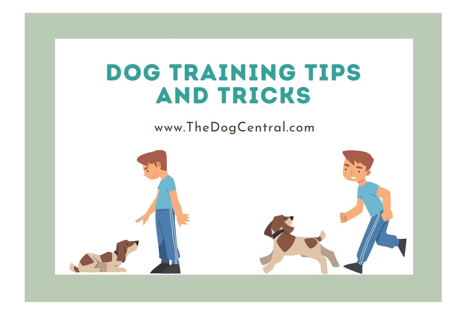 dog training tips and tricks