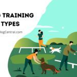Different Types of Dog Training Methods
