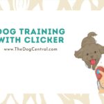 Dog Training With Clicker