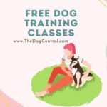 Free Dog Training Classes