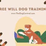 Free Will Dog Training