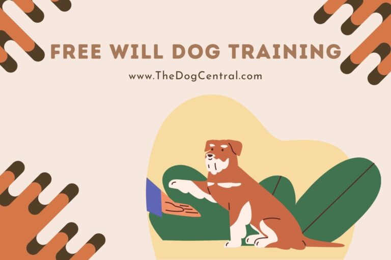 free will dog training