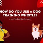 How Do You Use a Dog Training Whistle?