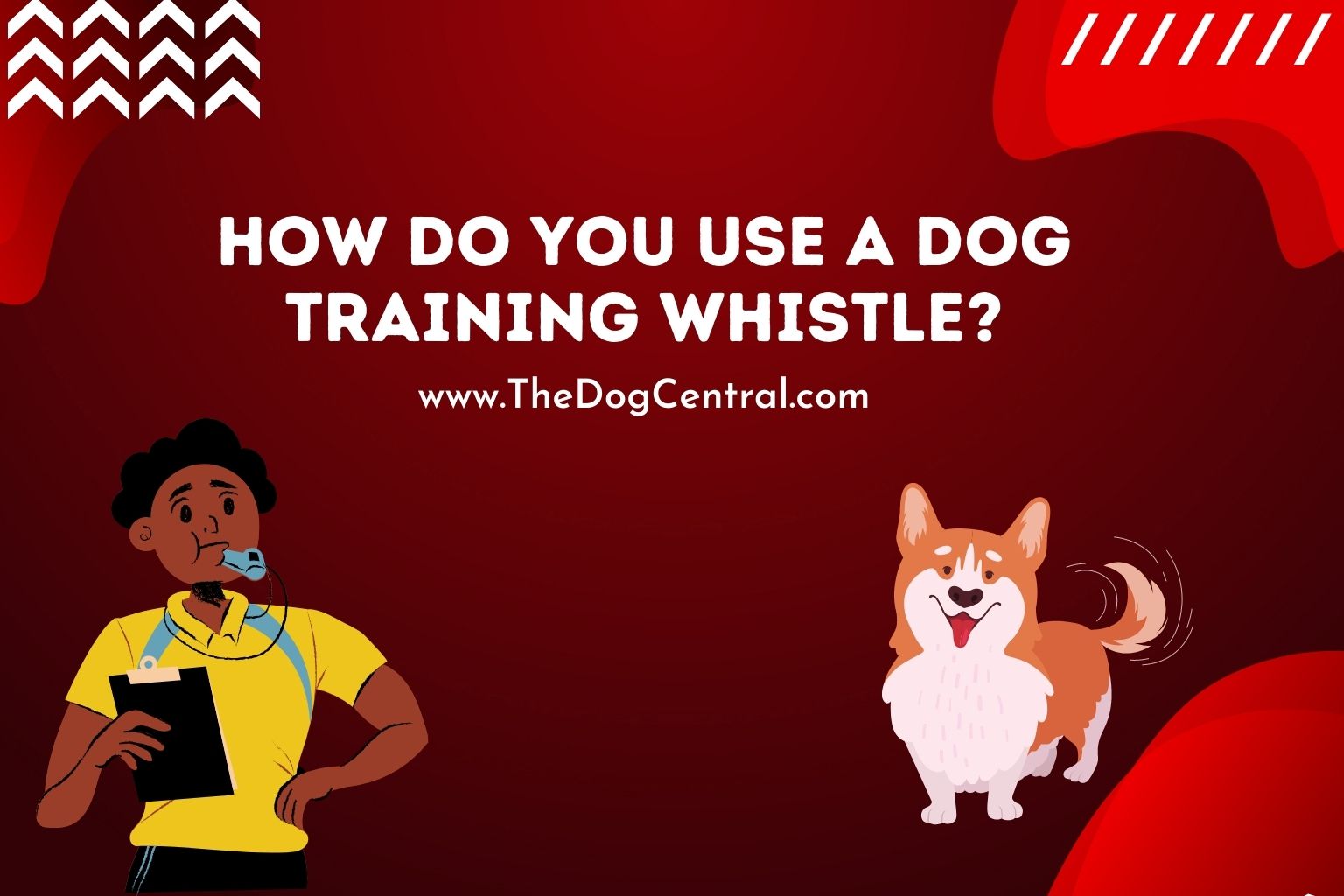 how do you use a dog training whistle