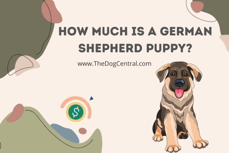 how much is a german shepherd puppy