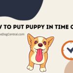 How to Put Puppy in Time Out