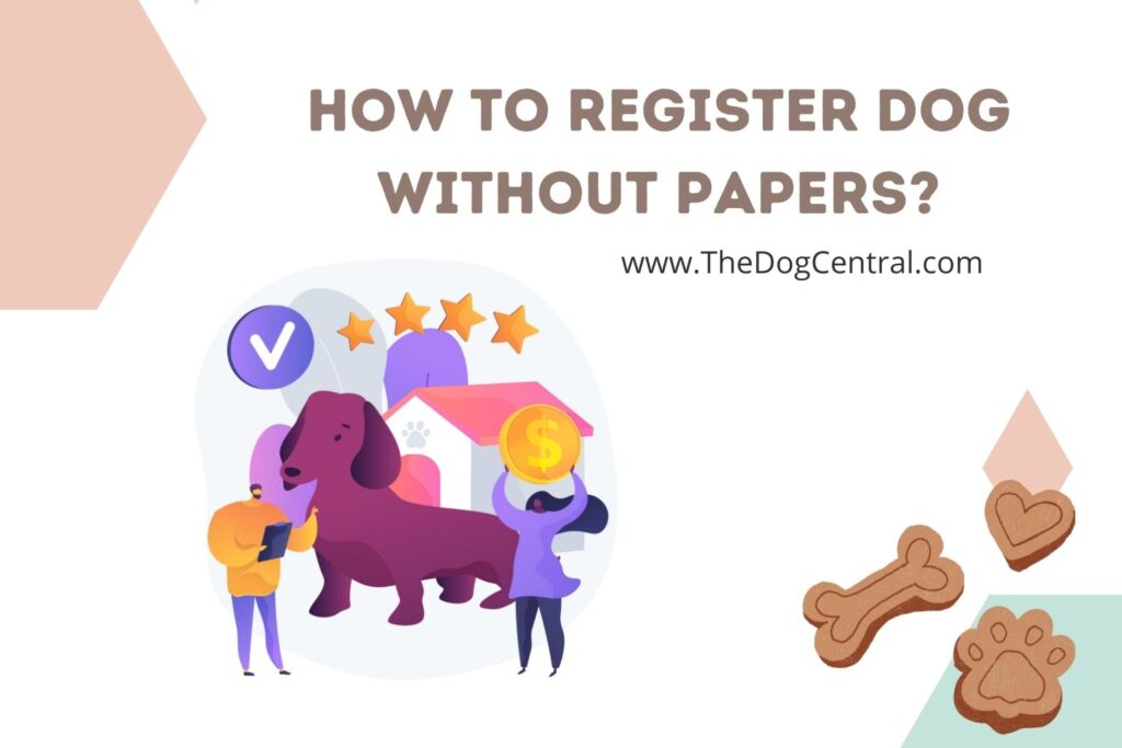 How to Register Dog Without Papers The Dog Central