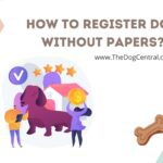 How to Register Dog Without Papers