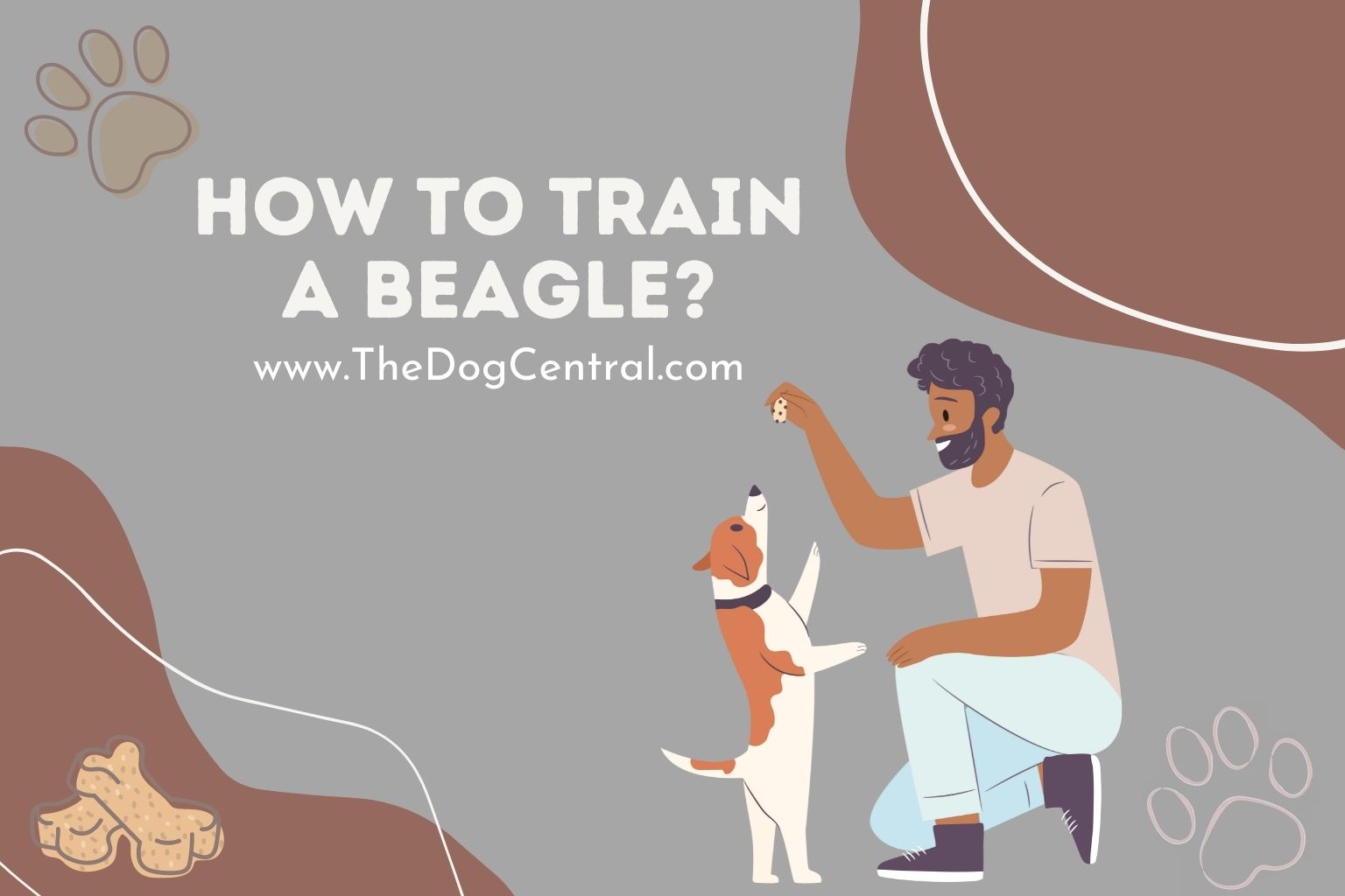 how to train a Beagle