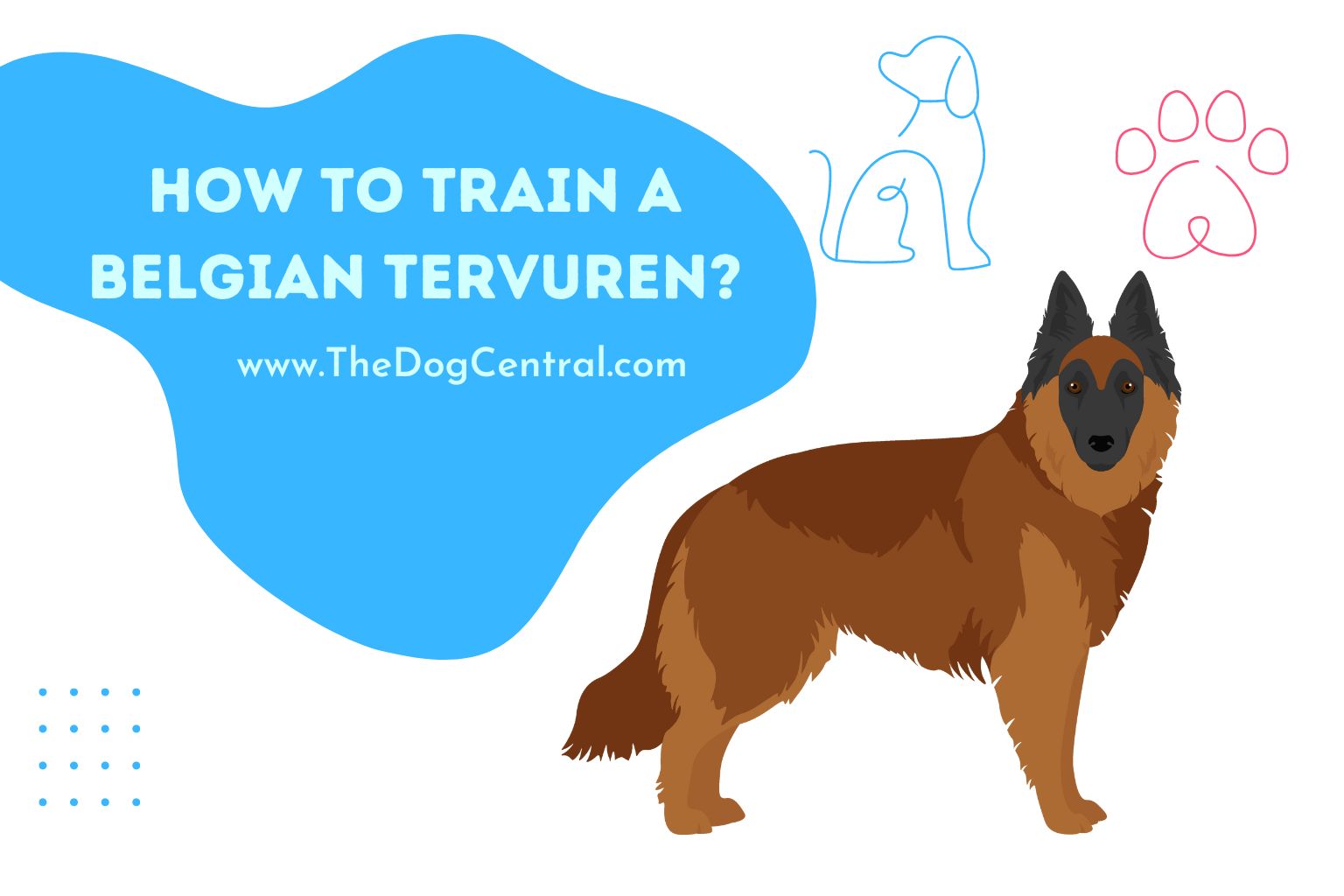 how to train a Belgian Tervuren