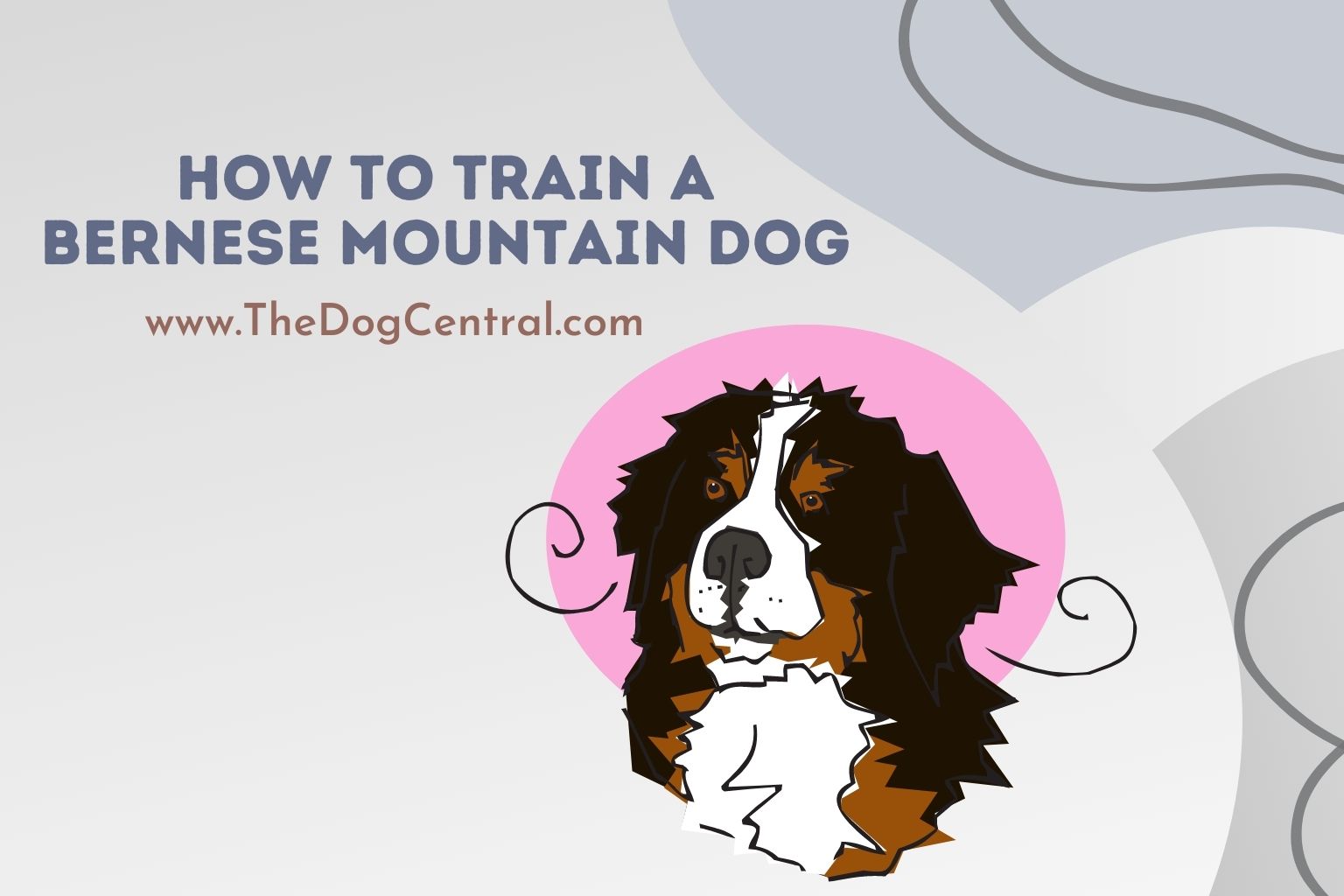 how to train a Bernese Mountain Dog