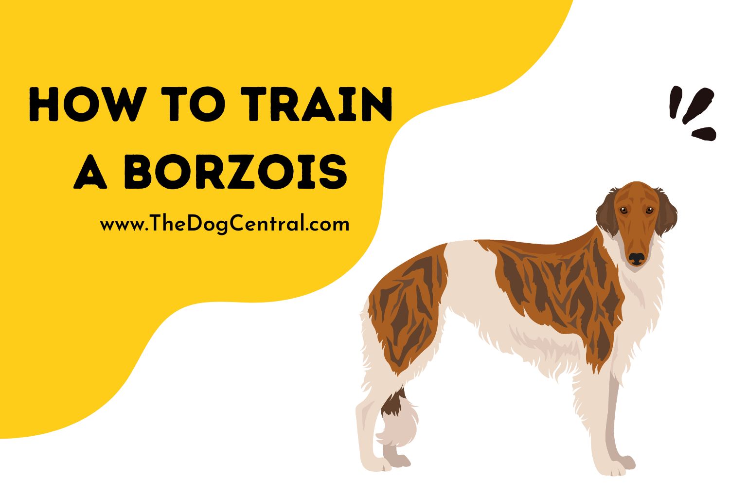 how to train a Borzois