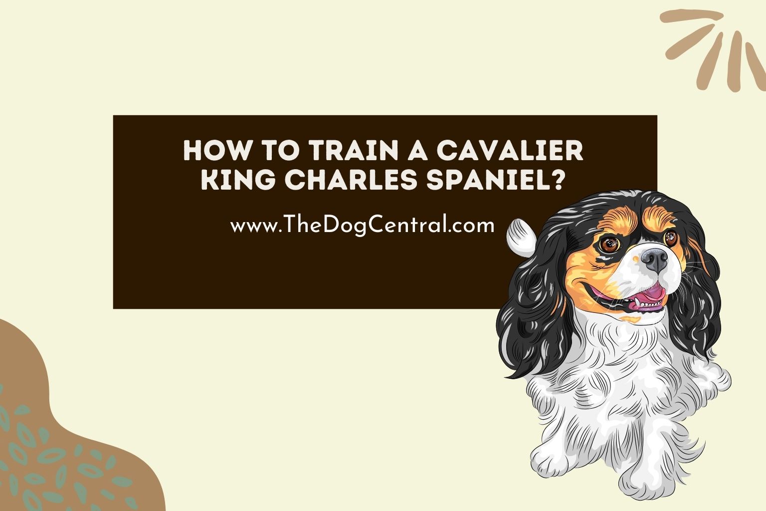 How to Train a Cavalier King Charles Spaniel? The Dog Central