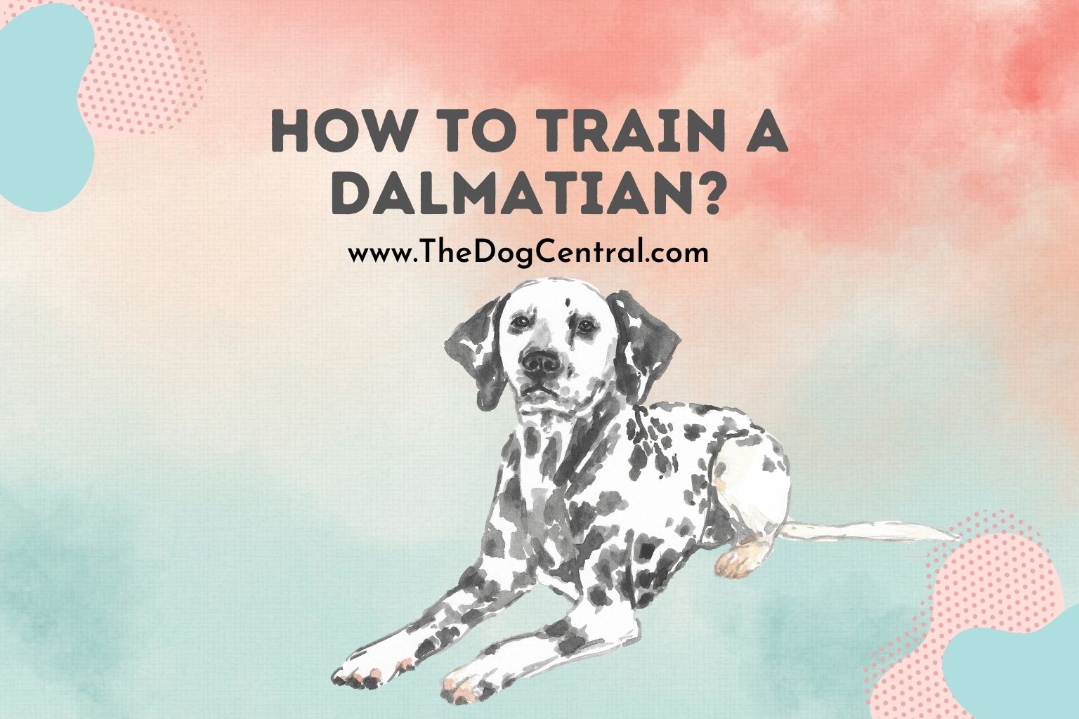 how to train a Dalmatian