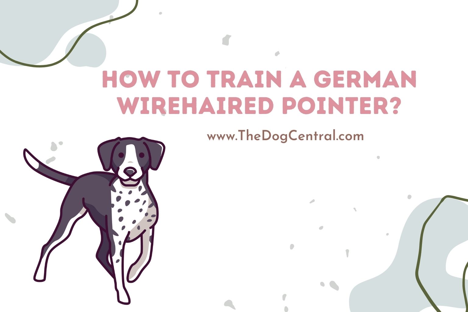 how to train a German Wirehaired Pointer