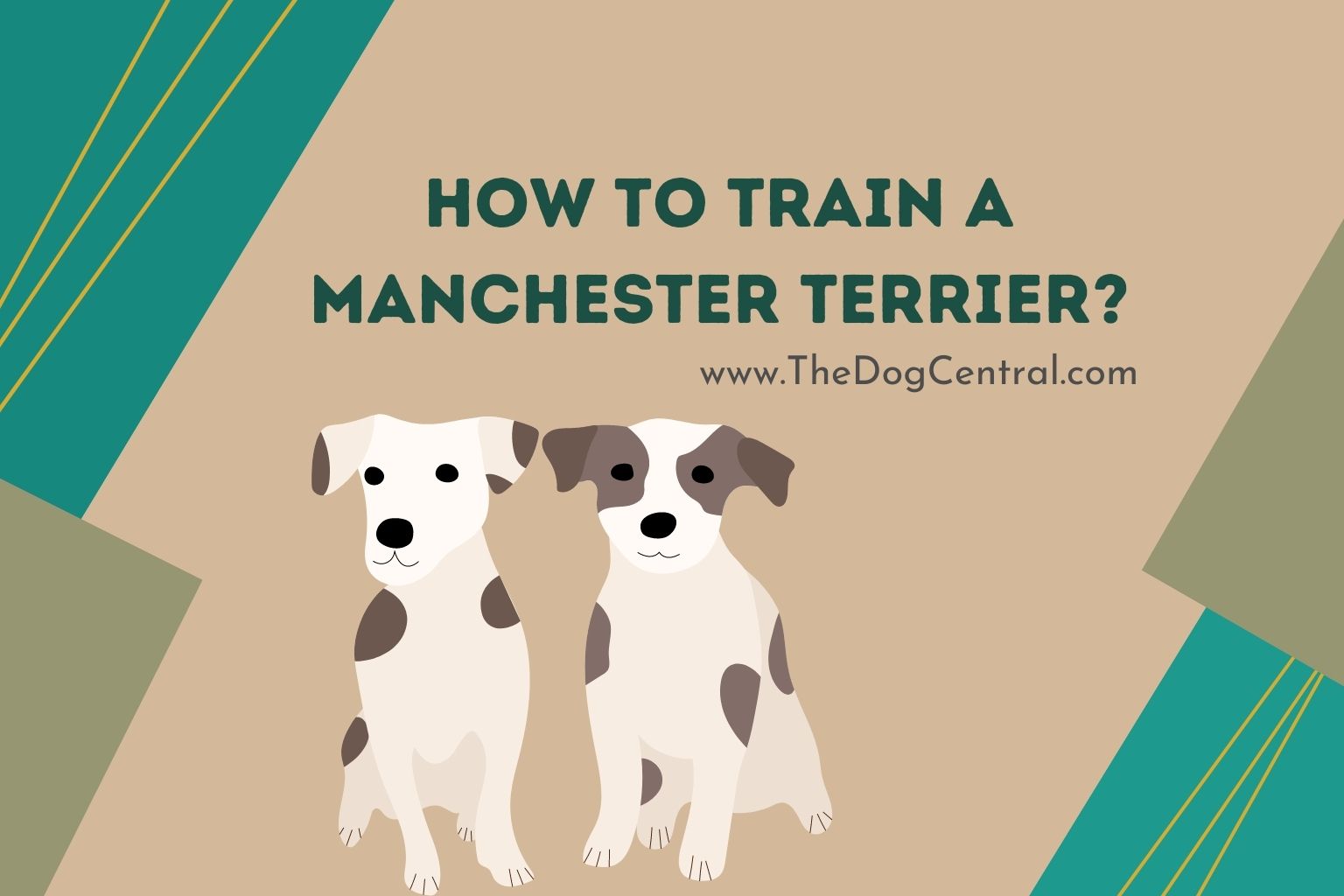 best ways to exercise your manchester terrier