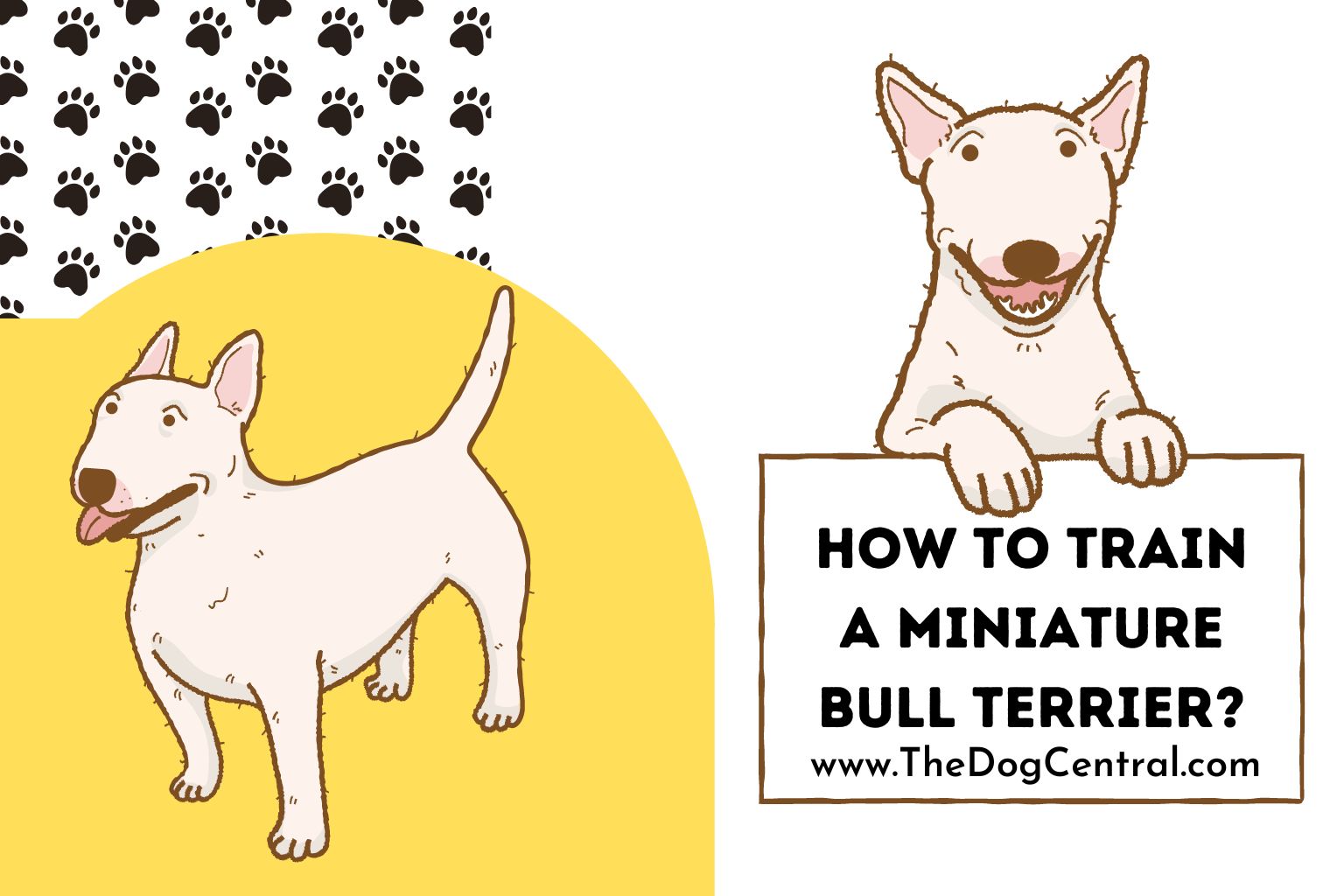 how to train a Miniature Bull Terrier