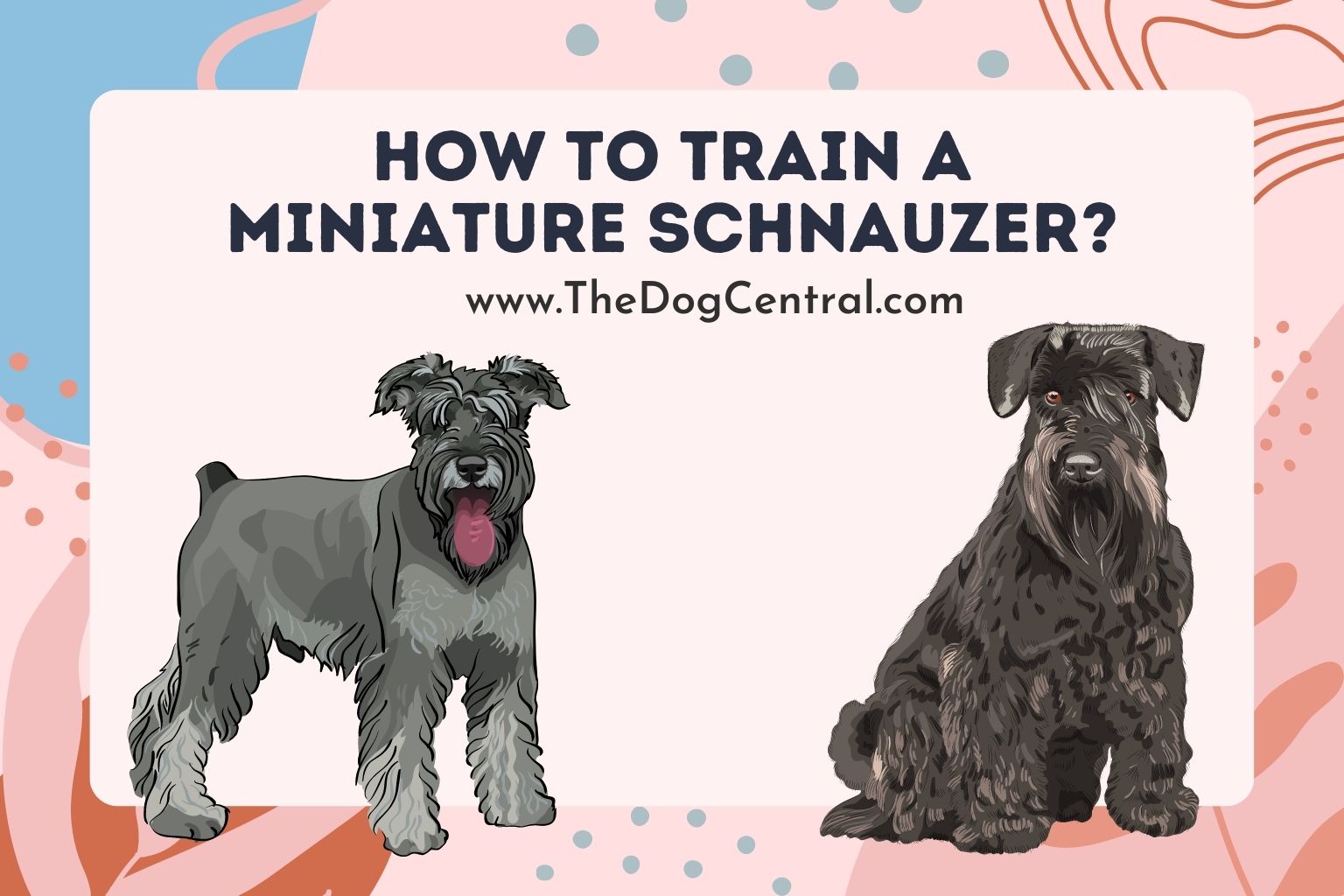 how to train a Miniature Schnauzer