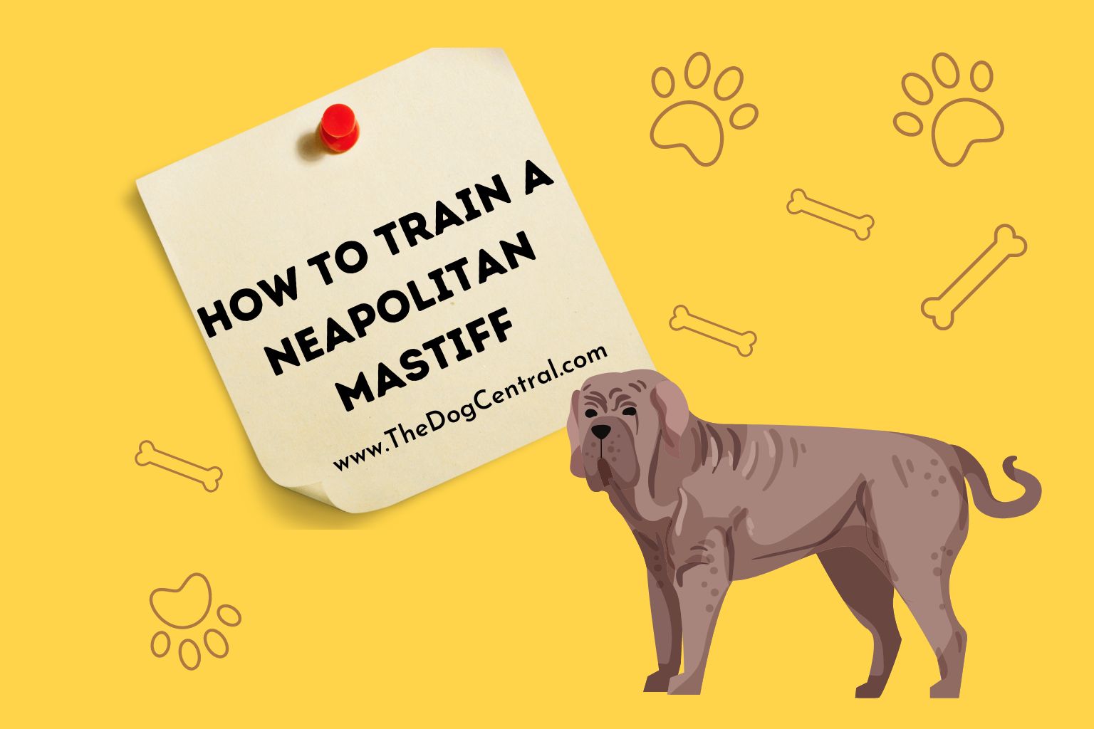 how to train a Neapolitan Mastiff