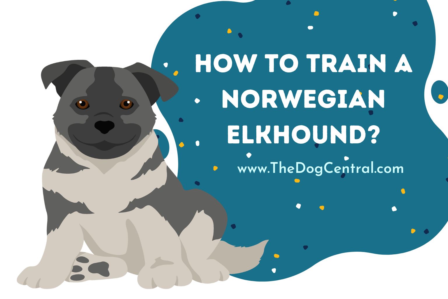 how to train a Norwegian Elkhound