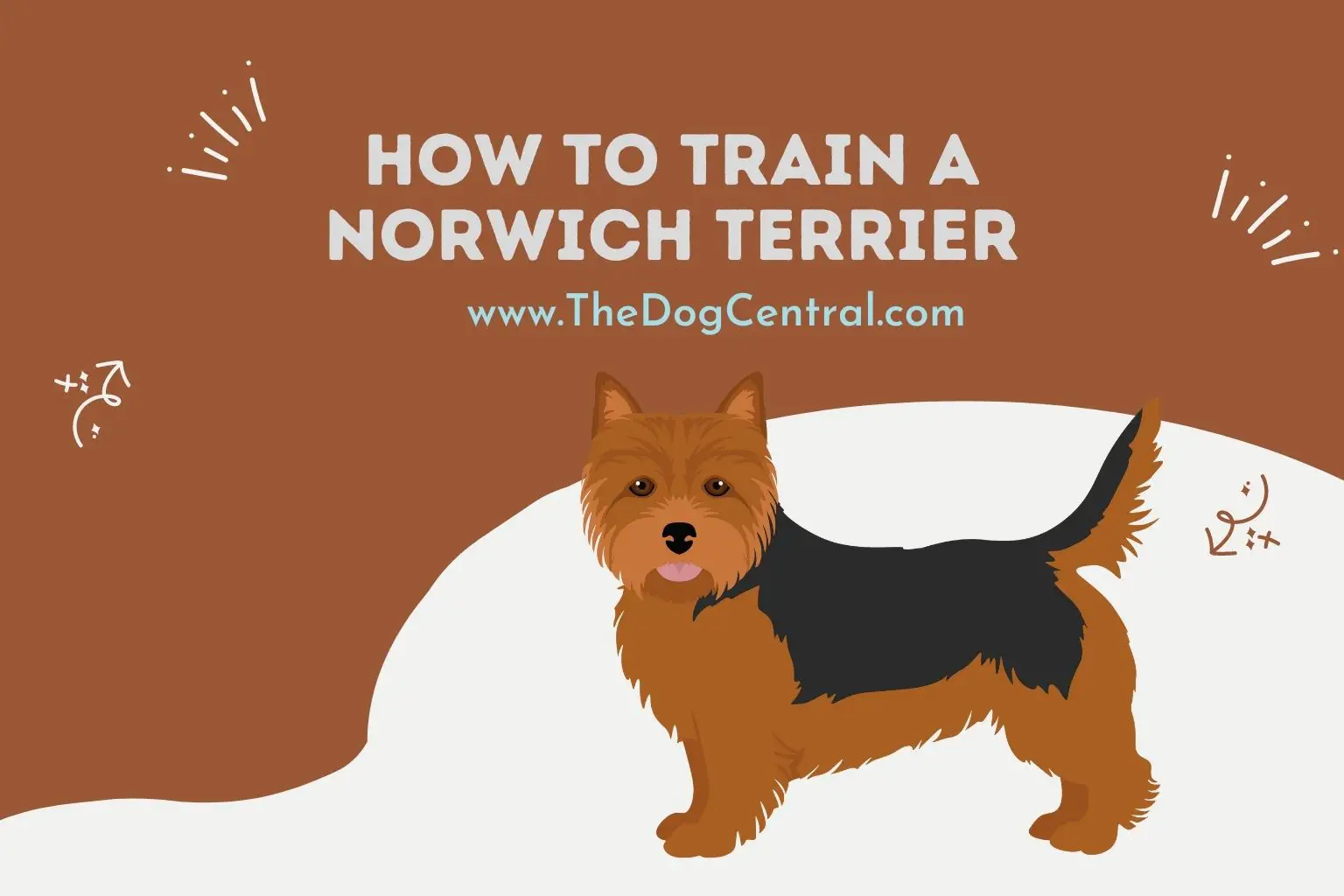 how to train a Norwich Terrier
