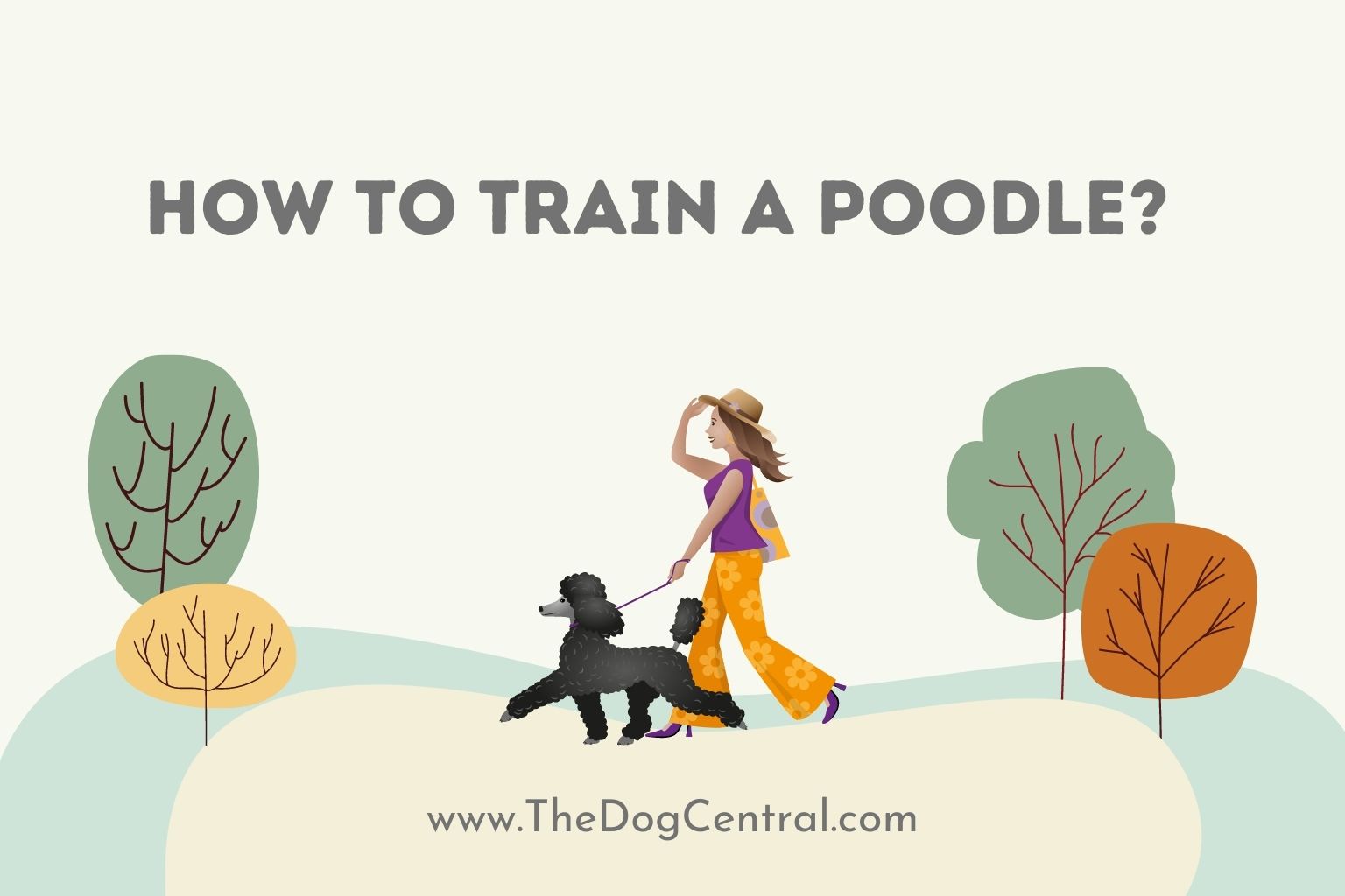 how to train a Poodle