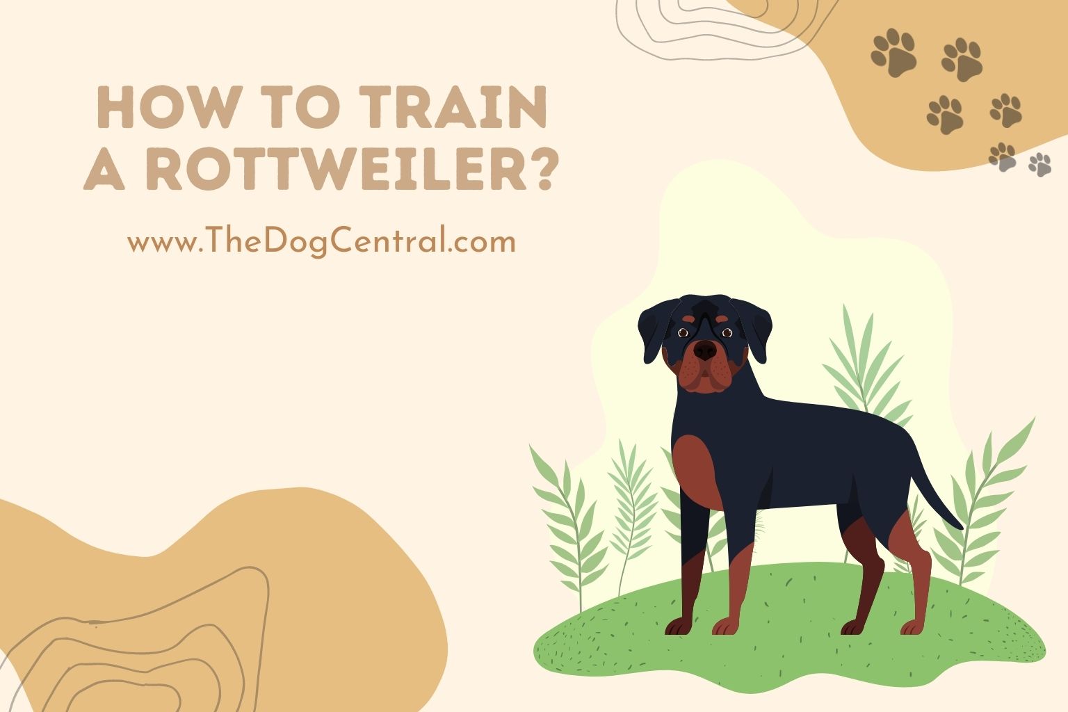 how to train a Rottweiler