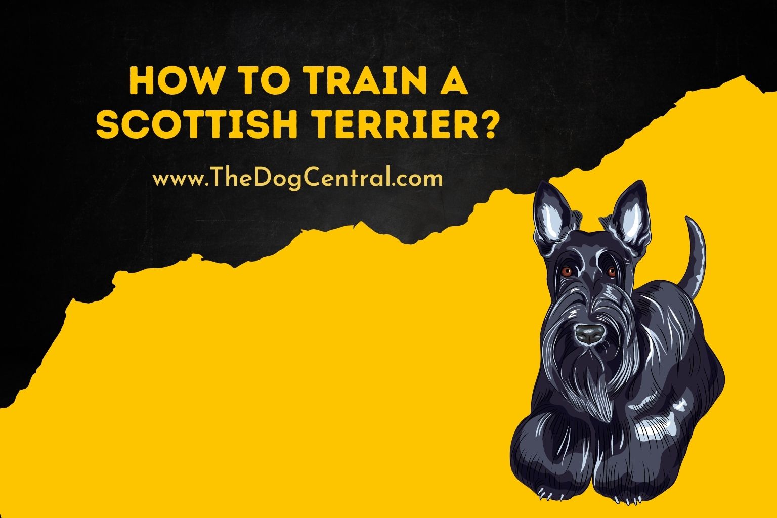 how to train a Scottish Terrier