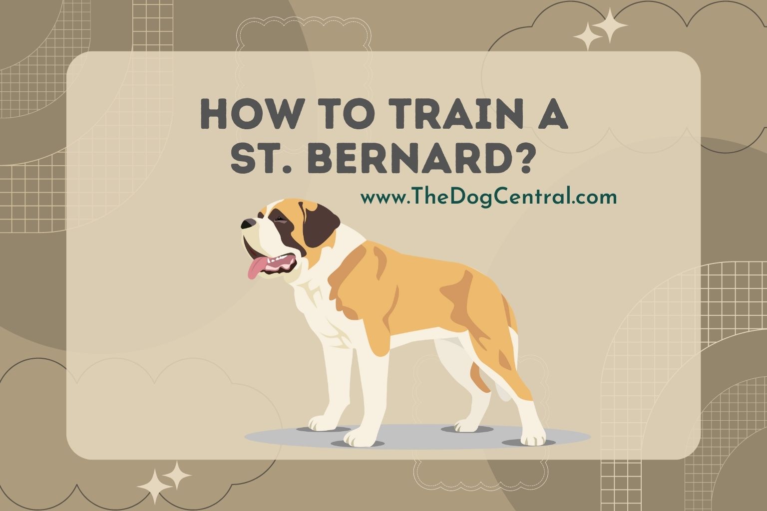 how to train a St. Bernard