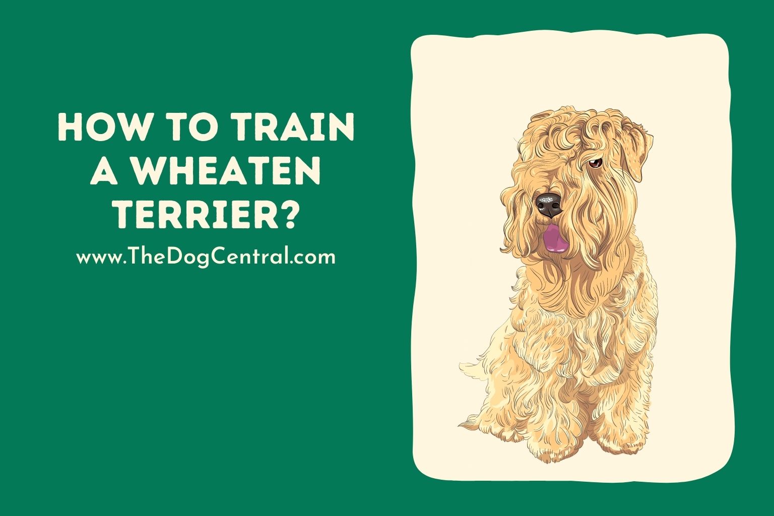 how to train a Wheaten Terrier